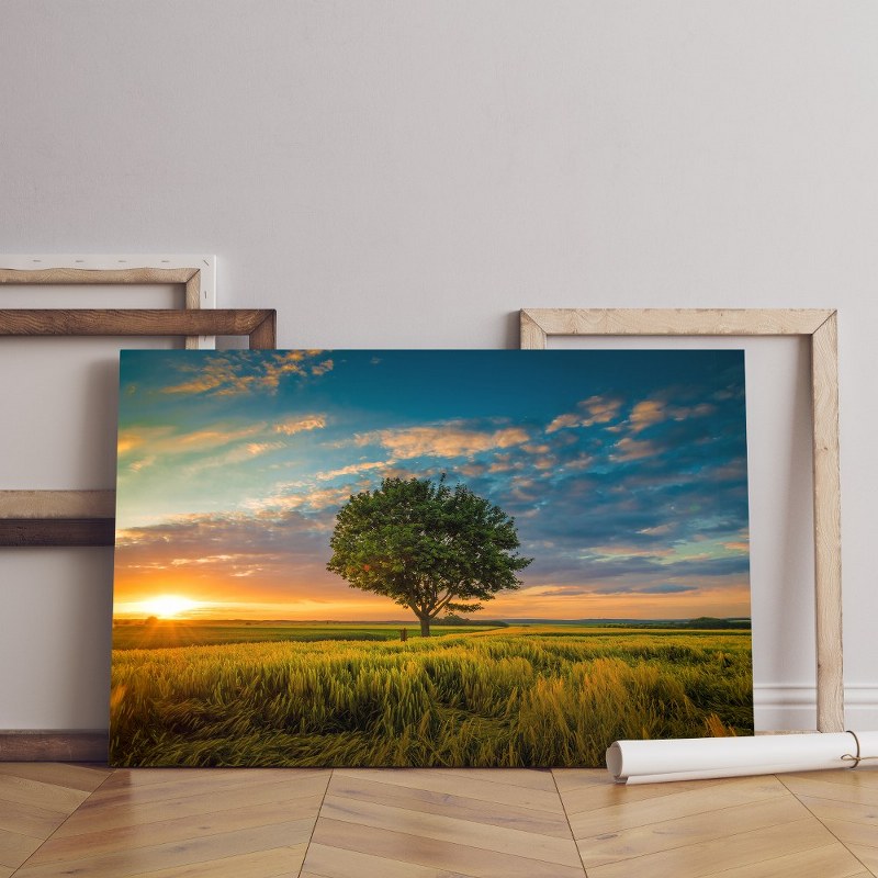 home gallery wide angle shot single tree growing clouded sky during sunset surrounded by grass Printed Canvas wall art cm
