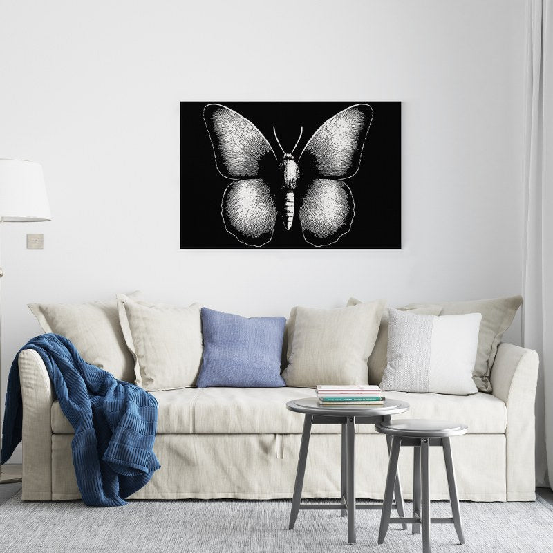 Black beauty butterfly Printed canvas wall art