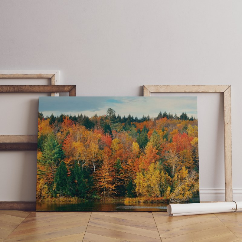 Beautiful Yellow Red Orange Green Trees Grass Canvas Wall Art