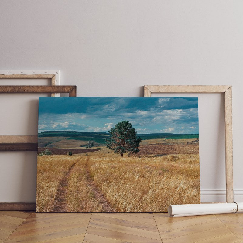 Central Russia agricultural countryside country road Canvas Wall Art